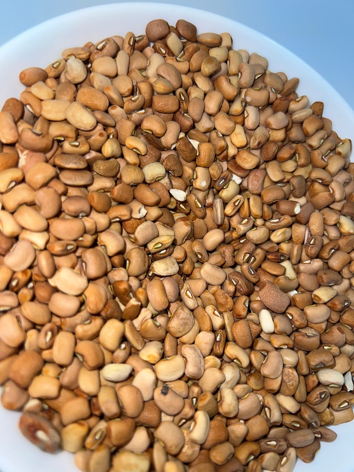 Honey Beans/ Ewa Oloyin