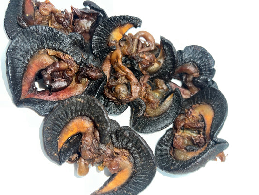 Snail (Fried)